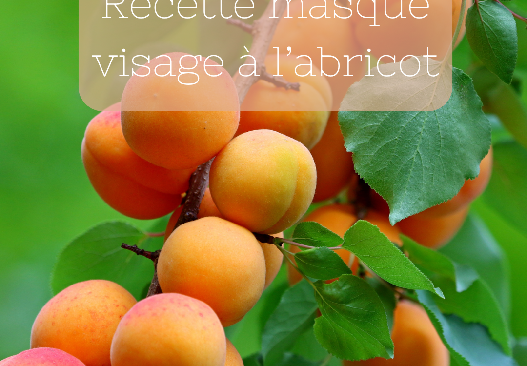 Masque visage à l’abricot